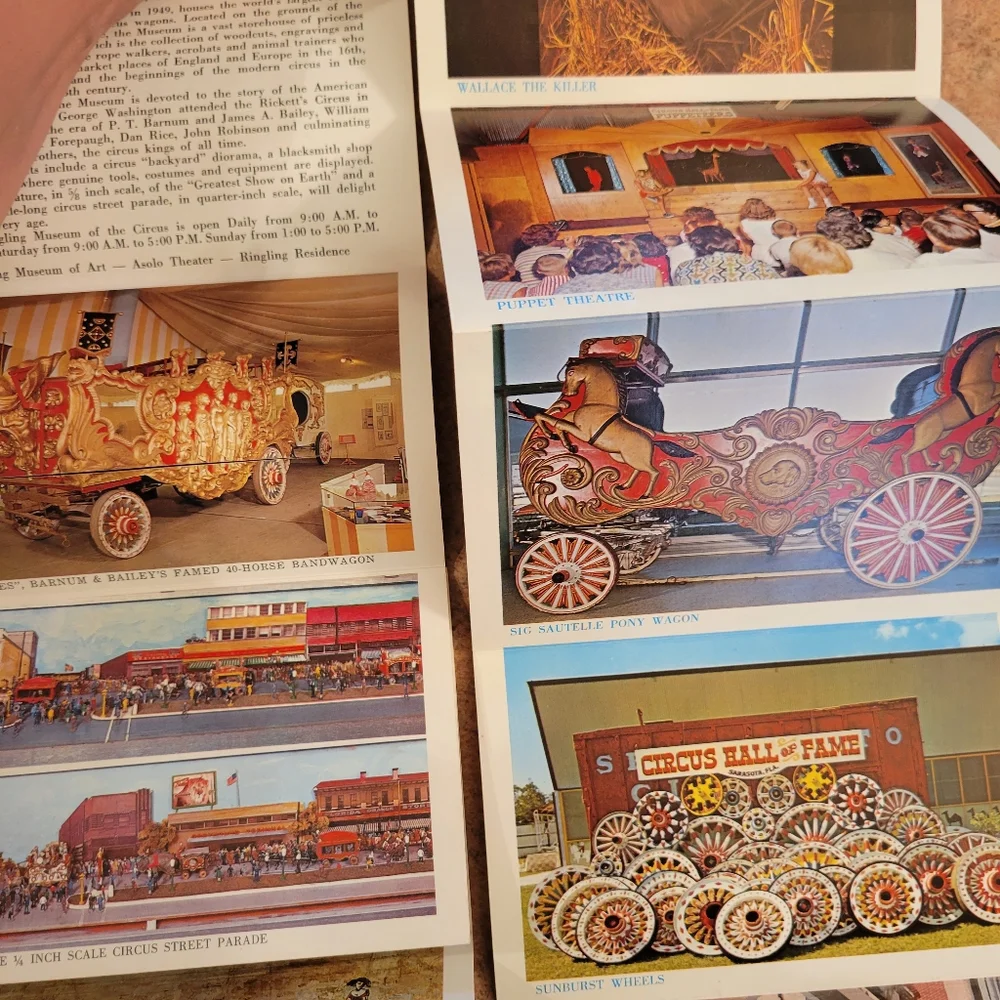 Vintage Postcard Booklets from Florida ~ Circus ~ Seashells ~ Retro!